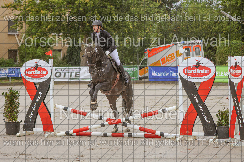 2025-09-22_10-06-54_MG_5855 | TE-Fotos