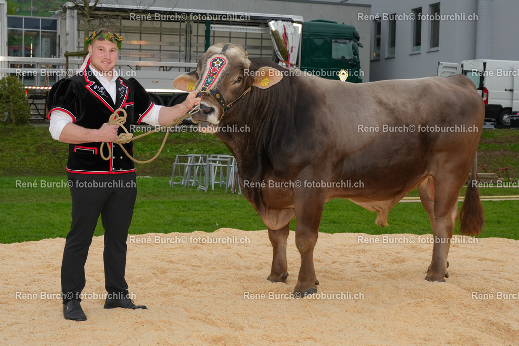 Wicki Joel  mit Muni | René Burch leidenschaftlicher Fotograf aus Kerns in Obwalden.  Hier finden sie Sport, Landschaft und Natur Fotografie.
 - Realisiert mit Pictrs.com