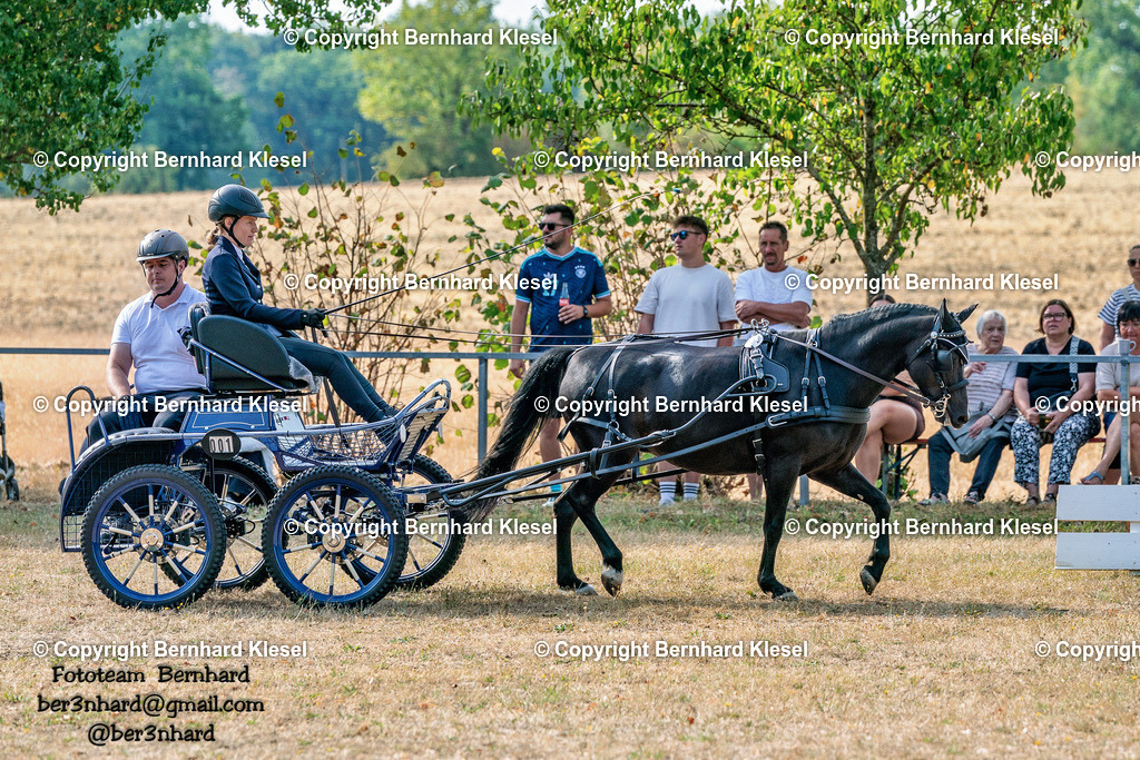 2A902013 | foto-team-bernhard - Realisiert mit Pictrs.com