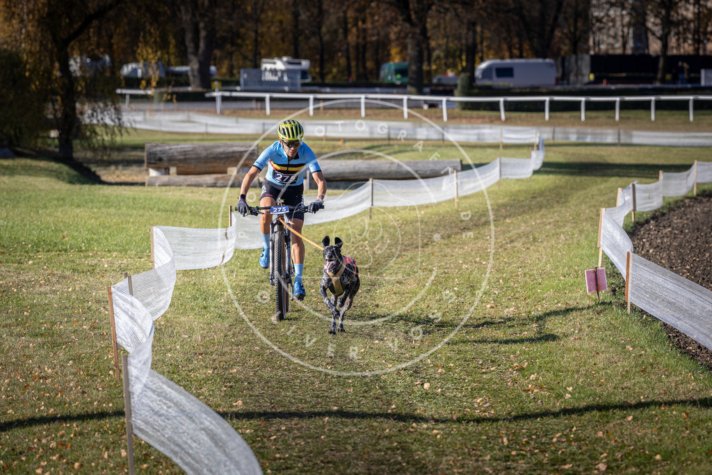 CaniXpix_DV3A5312 | Hundefotografie, Tierfotograf, Pfotenfotografie, Fotoshooting Hund, Hunde Portrait, Hundesport, Hundeportraits, Heideshooting, Hunde, Sportfotograf, Hundefotograf, Turnierhundsport, THS,  - Realisiert mit Pictrs.com