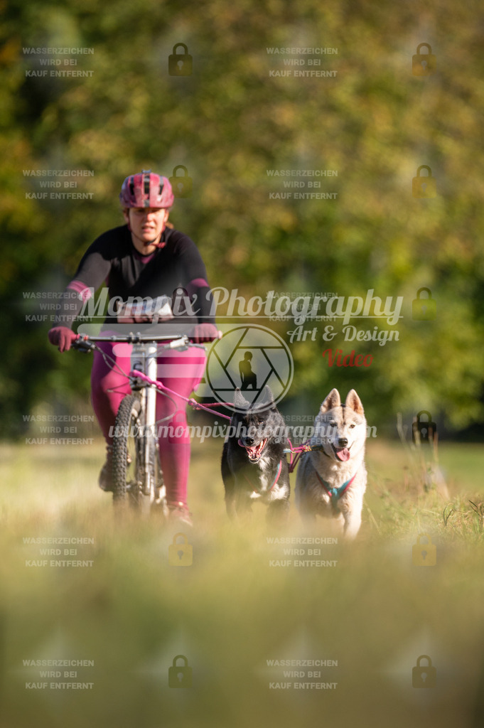 CDLBDB_15_10_2023_Dimanche-379 | mompixphotography