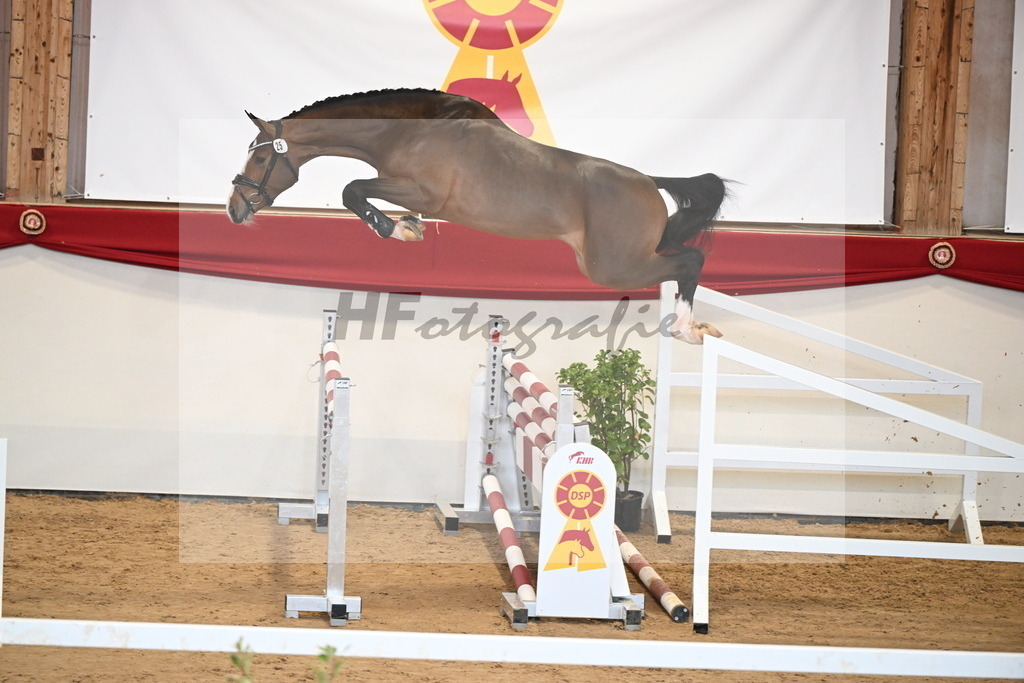 Kat.-Nr. 25 v. Dourkhan Hero Z_Duer-Lehner_2251149 | hf-fotografie - Realizzato con Pictrs.com