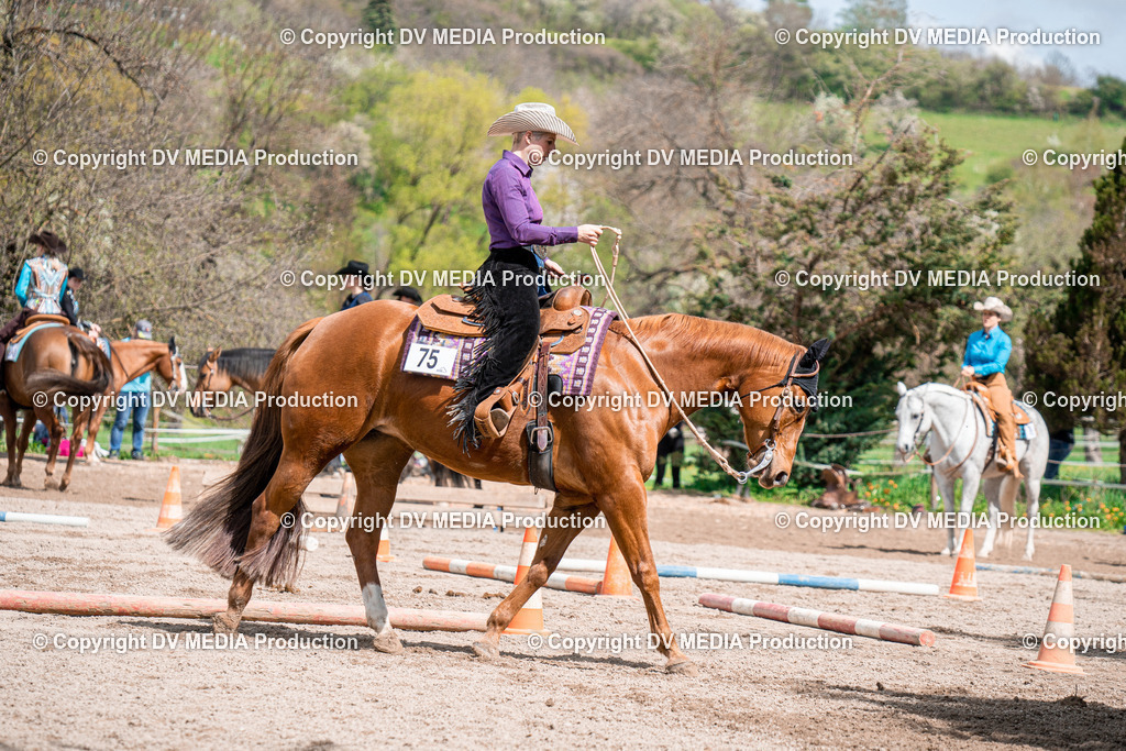 BAL02385 | dv-media-shop - Realisiert mit Pictrs.com