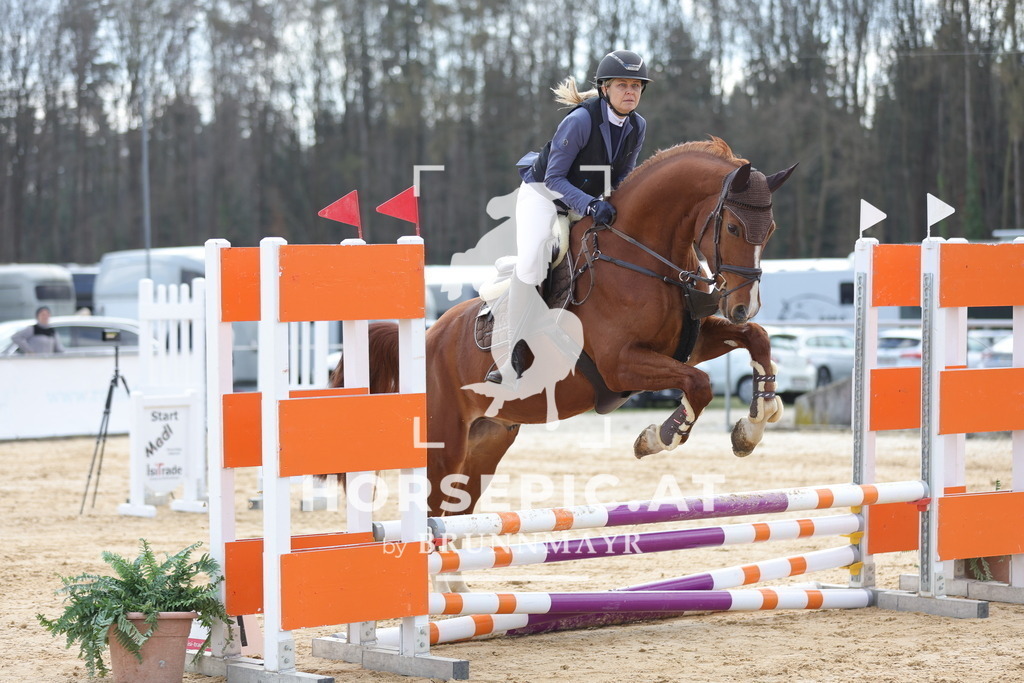 0P6A7157 | Willkommen bei Brunnmayr - Design & Fotografie – Ihrem Spezialisten für Reitturniere und Pferdeveranstaltungen in Oberösterreich, Salzburg und Bayern! Seit über 17 Jahren sind wir leidenschaftlich dabei.