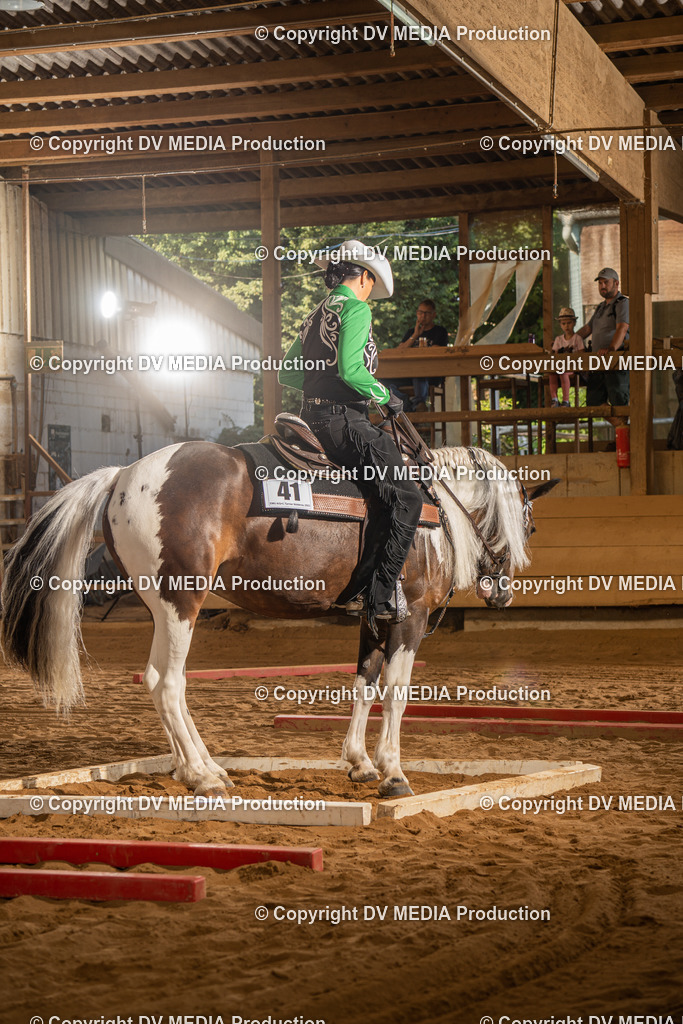 NID02670 | dv-media-shop - Realisiert mit Pictrs.com