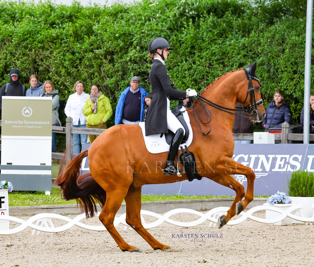 1B3A8507 | Reitsport Reiten