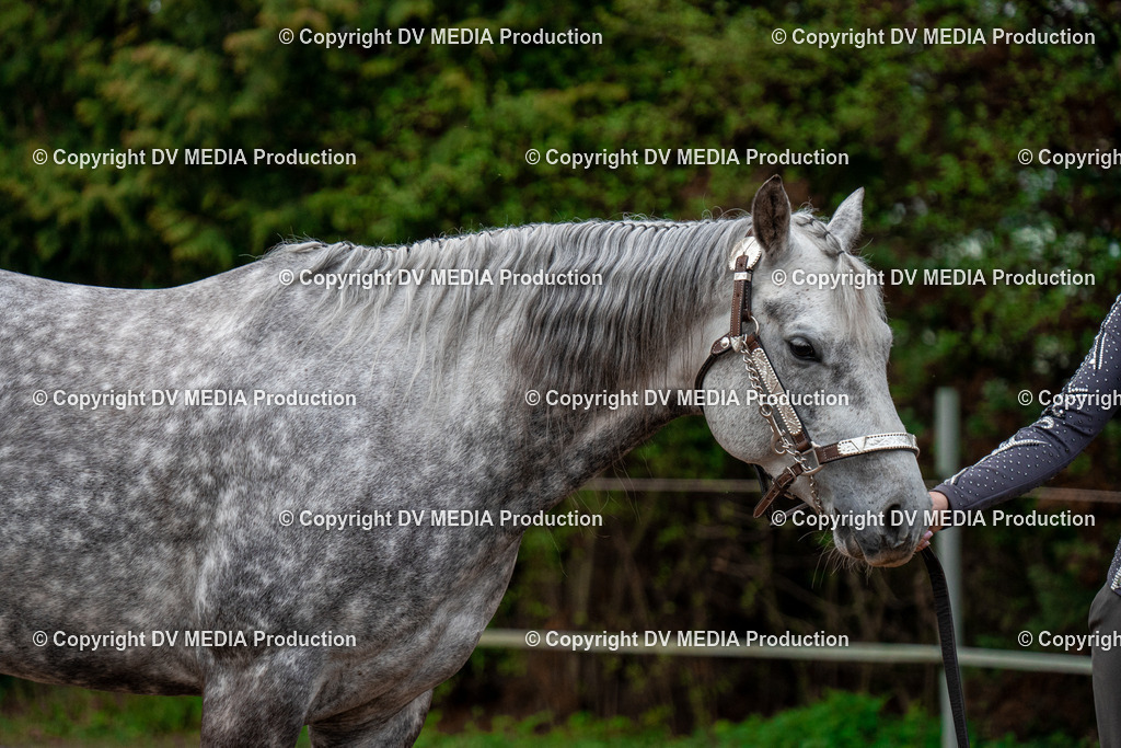 BA300056 | dv-media-shop - Realisiert mit Pictrs.com