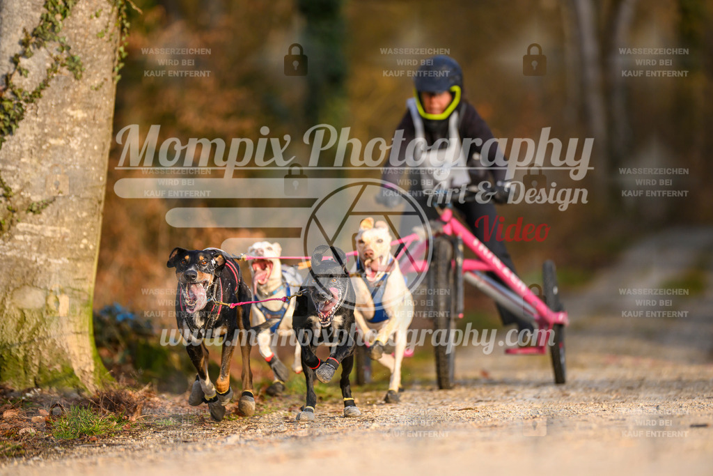 MompixPhotography_6ReiatRennen2026_SO_Kart-22 | PayLife