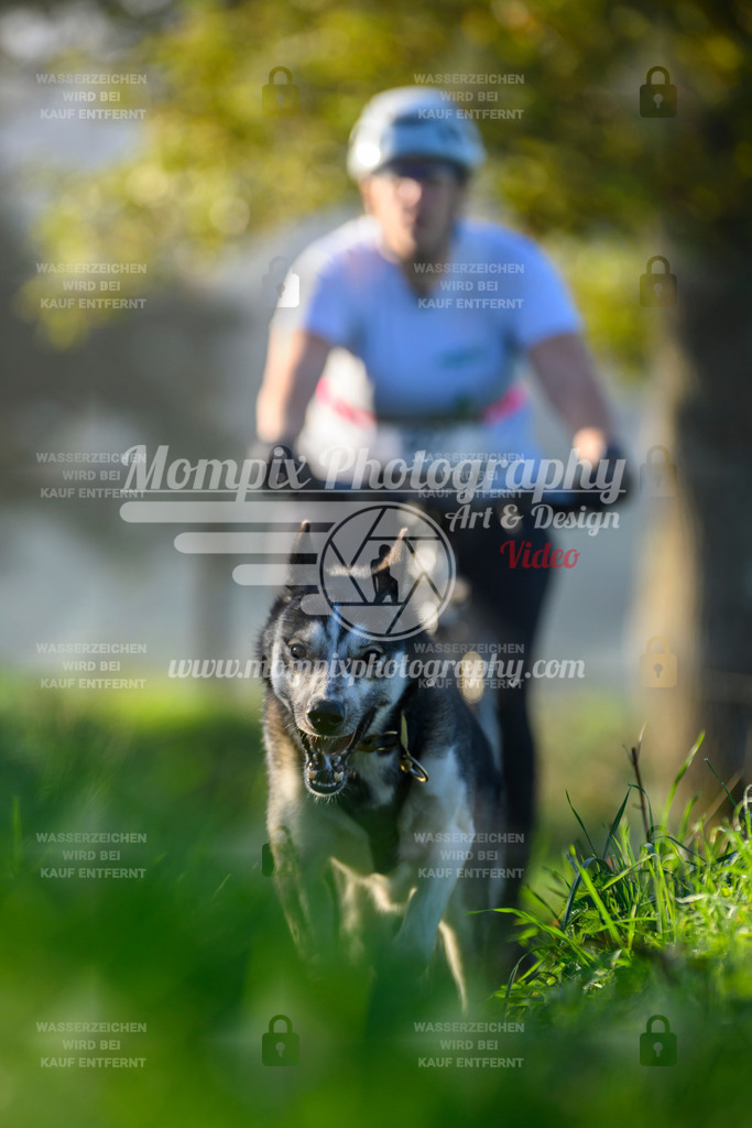 MompixPhotography_20TSB_E3_Bike-224 | PayLife