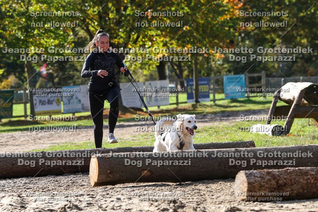 Dog Paparazzi - Strongdog 10-25-5949 | Dog Paparazzi Jeanette Grottendiek Fotografie & Videografie - Realisiert mit Pictrs.com