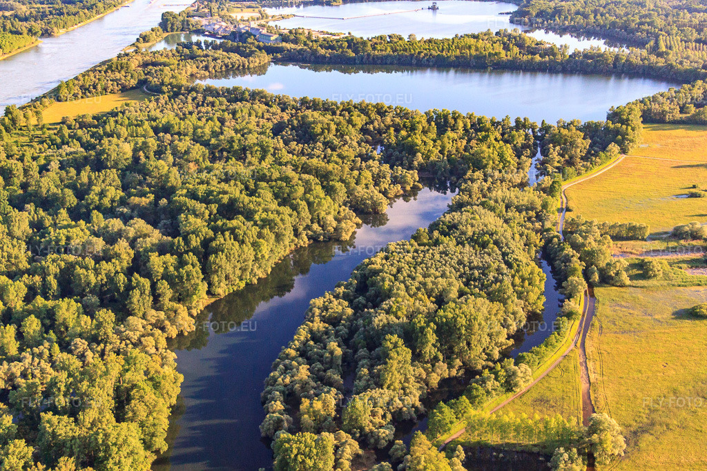 Vue aérienne: Réserve naturelle du Delta de la Sauer à Munchhausen dans le département Bas Rhin, France – .Photo: IMG_58001.jpg prise le 16/06/2013 par Werner Riehm/FLY-FOTO.eu – Résolution de l'original: 4752 x 3168 px