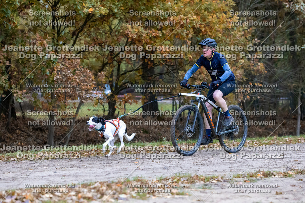 Dog Paparazzi - SD CaniX Championship 2025-239 | Dog Paparazzi Jeanette Grottendiek Fotografie & Videografie - Realisiert mit Pictrs.com