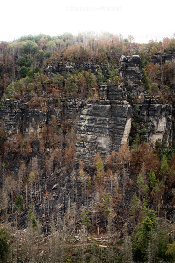 Frienstein_Idagrotte_Obere_Affensteinpromenade_Felswand_Waldbrand | 2022-09-02_Waldbrandgebiete_2 - Realisiert mit Pictrs.com