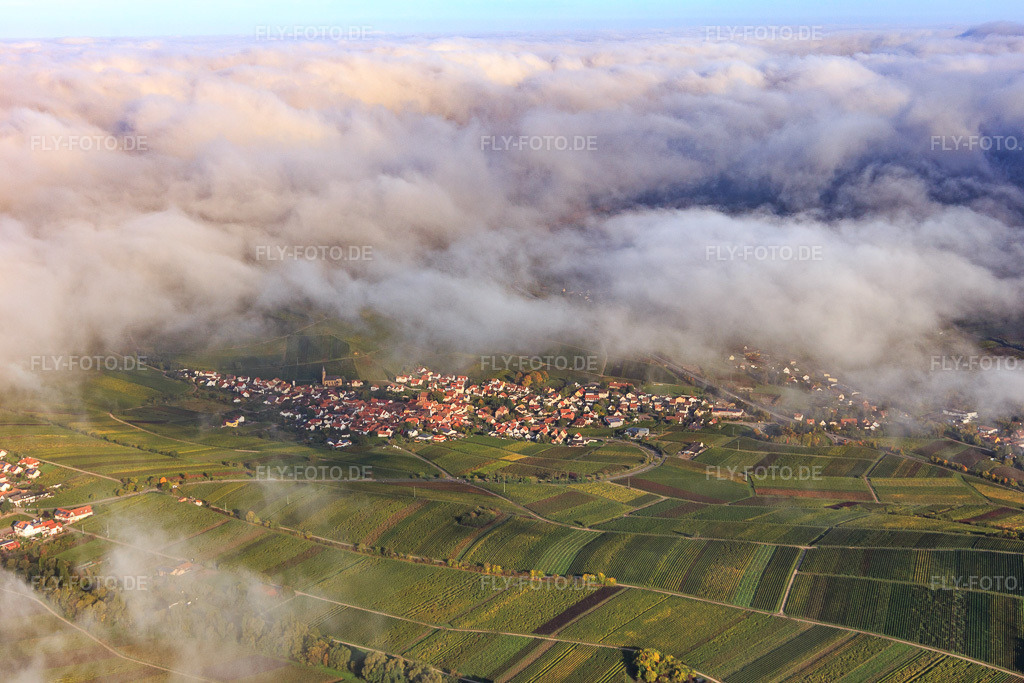 Luftbild: Winzerdorfansicht unter Wolken in Birkweiler im Bundesland Rheinland-Pfalz in Deutschland. Foto: IMG_103742.jpg vom 01.10.2017 durch Werner Riehm/FLY-FOTO.de