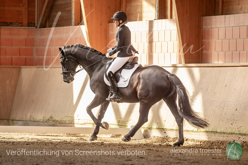 250405_Barop_07_041 | farbklaex.com
