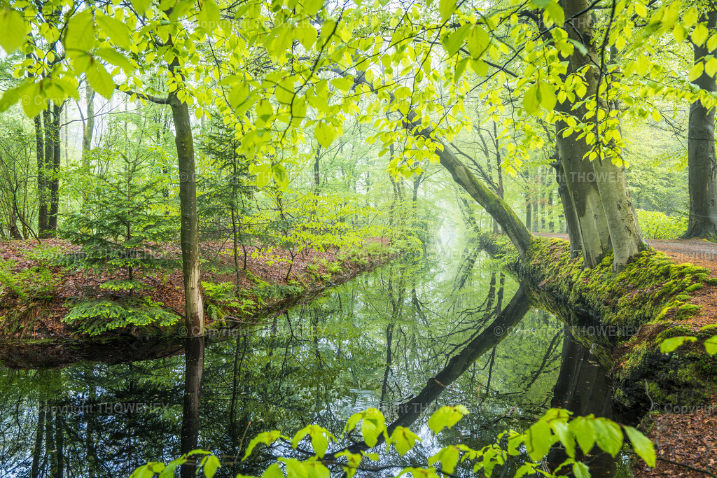 _1034890 | thowehey - Realisiert mit Pictrs.com