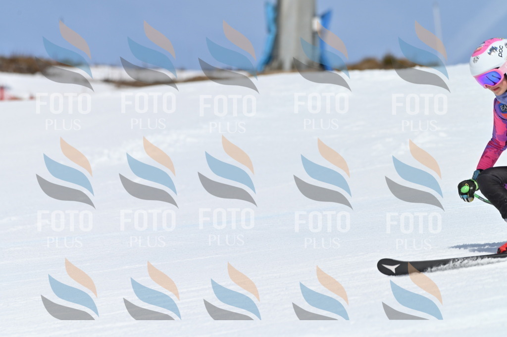 BGV_0171 | holidayphoto