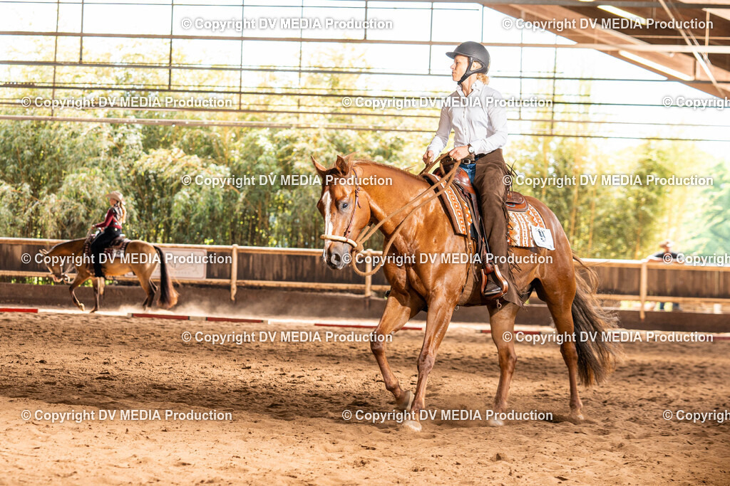 Erbach Tag 1-276 | dv-media-shop - Realisiert mit Pictrs.com