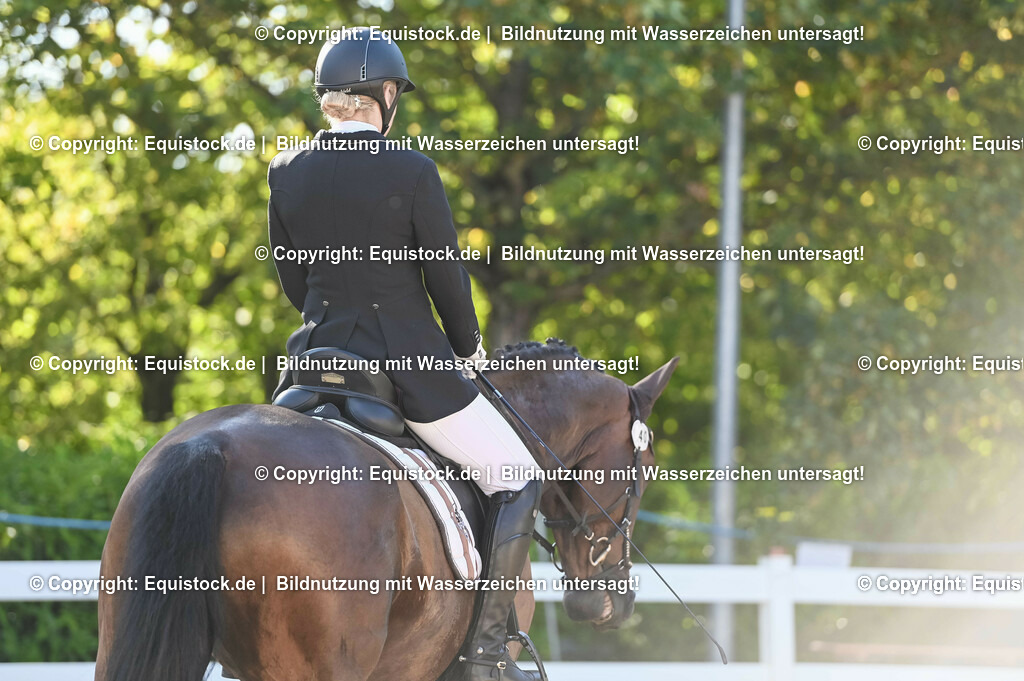 20230715_06_Dressurpferdeprfg. Kl.A_0036 | equistock