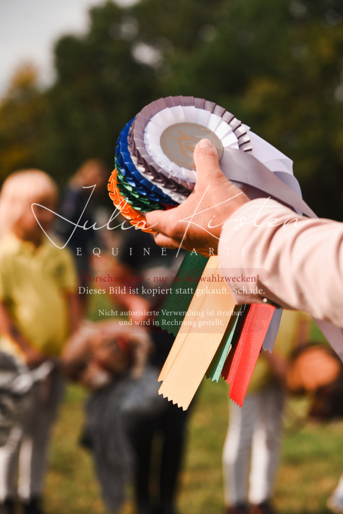 DSC_4749 | Pferde- und Turnierfotografie in Westsachsen. Pferdeportraits, Auftragszeichnungen und intuitive Kunst.