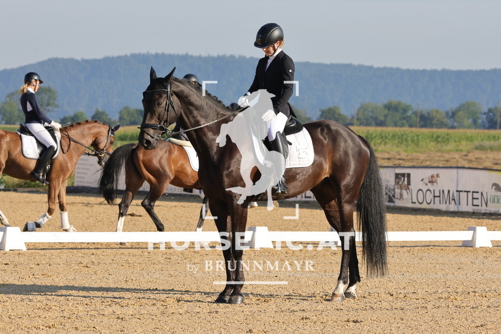 0P6A8427 | Willkommen bei Brunnmayr - Design & Fotografie – Ihrem Spezialisten für Reitturniere und Pferdeveranstaltungen in Oberösterreich, Salzburg und Bayern! Seit über 17 Jahren sind wir leidenschaftlich dabei.