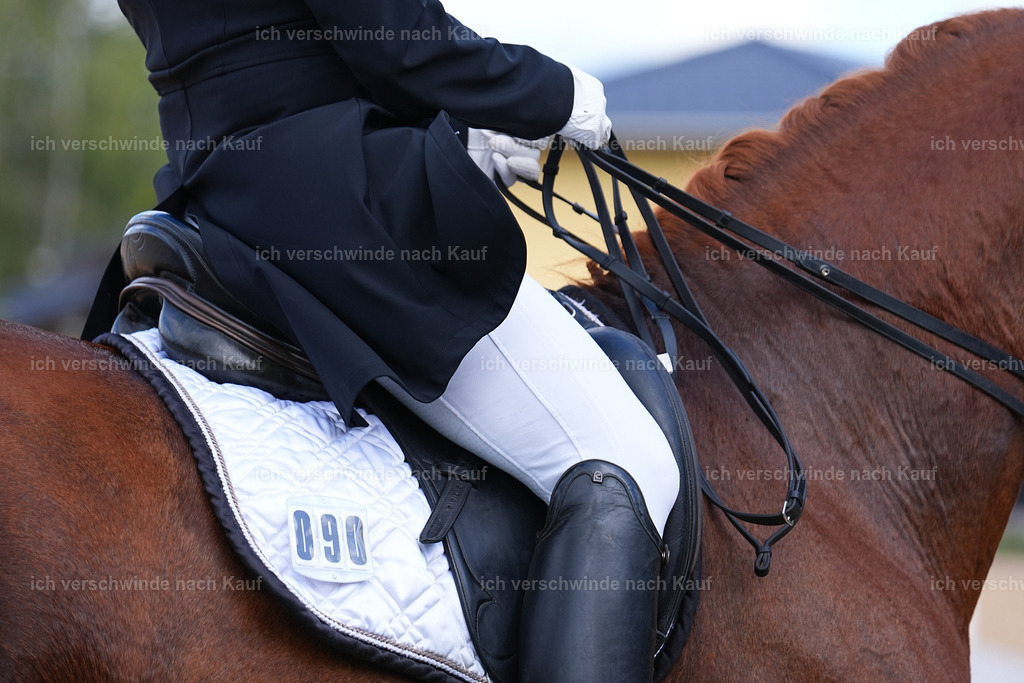 09_2-090-DRESSUR  S_  -Marixx-5964 | working equitationturnier fotograf videograf stoibphotography marixx film working equitation deutschland reitsport turnierfotografie eventfotografie equestrian events