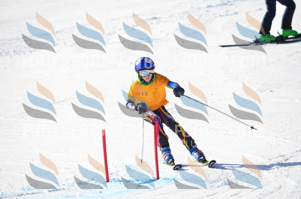 C6289 | holidayphoto