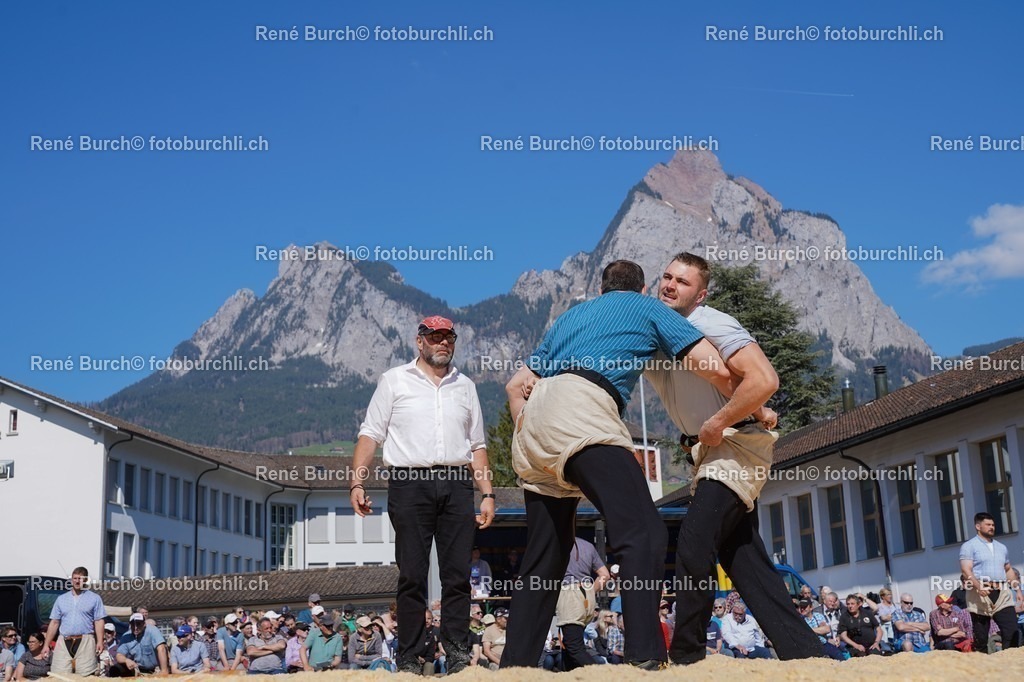 20220418-DSC03401 | René Burch leidenschaftlicher Fotograf aus Kerns in Obwalden.  Hier finden sie Sport, Landschaft und Natur Fotografie.
 - Realisiert mit Pictrs.com