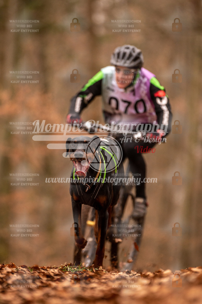 AKM_ST_2023_Son_Bike-47 | PayLife
