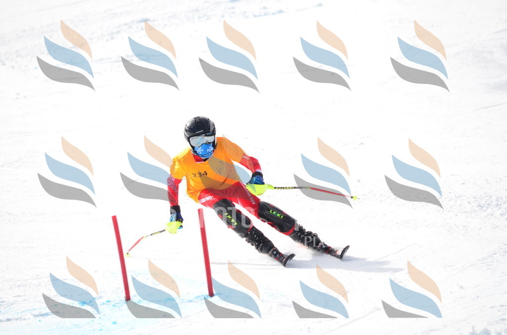 C8332 | holidayphoto