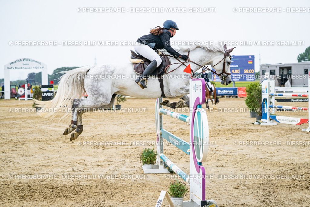 DSC08677 | Pferdegrafie