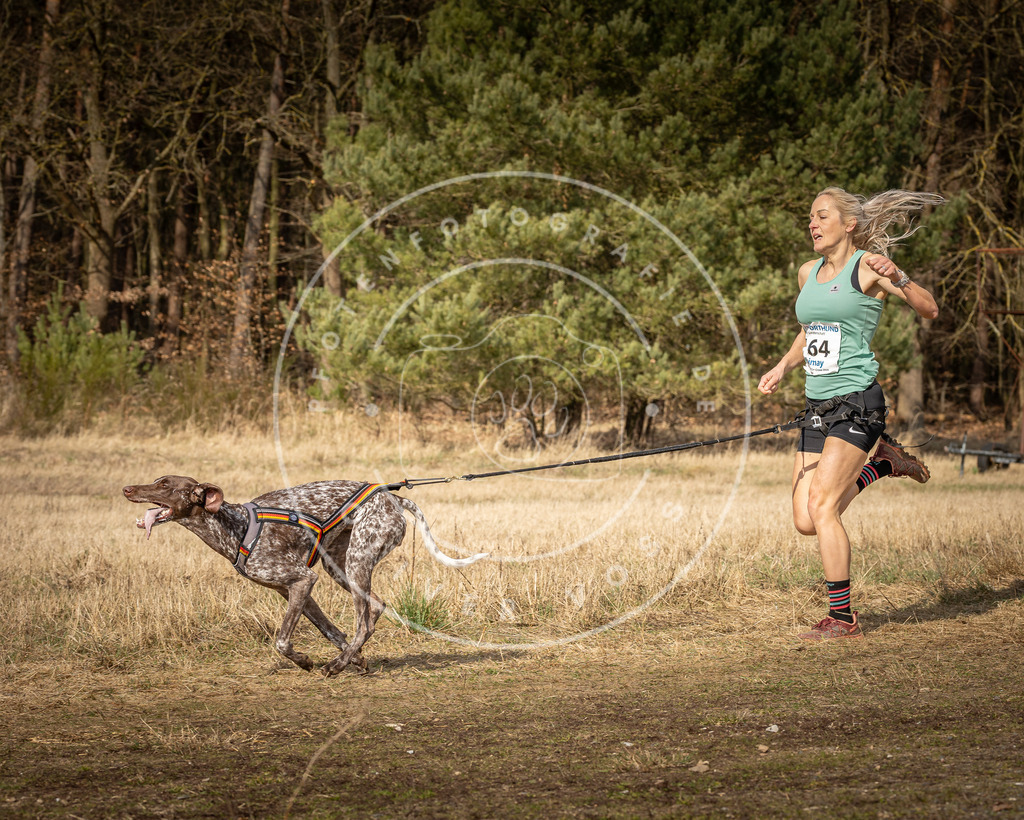 DV3A5612 | Hundefotografie, Tierfotograf, Pfotenfotografie, Fotoshooting Hund, Hunde Portrait, Hundesport, Hundeportraits, Heideshooting, Hunde, Sportfotograf, Hundefotograf, Turnierhundsport, THS,  - Realisiert mit Pictrs.com