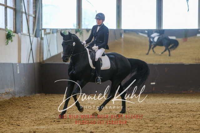 IMG_7593 | Turniersportfotografie; Pferdefotografie; Dressurfotografie