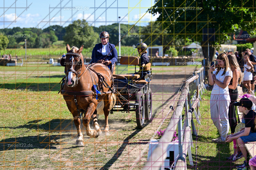 30 Jahre RFV Pulsnitz e.V., Pulsnitz am 09.08.2026 | 30Jahre Reit- und Fahrverein Pulsnitz e.V., Pulsnitz am 08.08.2026, Zur 28. breitensportlichen Veranstaltung des RFV Pulsnitz e.V. fanden verschiedene Wettbewerbe in nahezu allen Disziplinen des Pferdesport statt.- Dressur-Fahr-Wettbewerb - Realisiert mit Pictrs.com