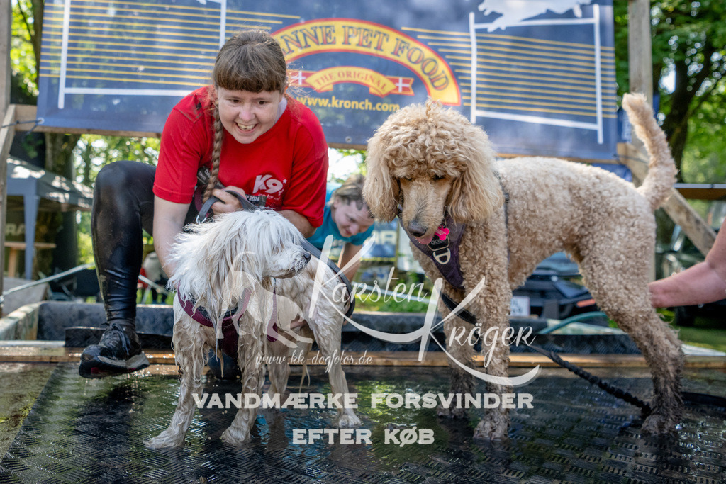 1522_ZZ91000 | kk-dogfotos