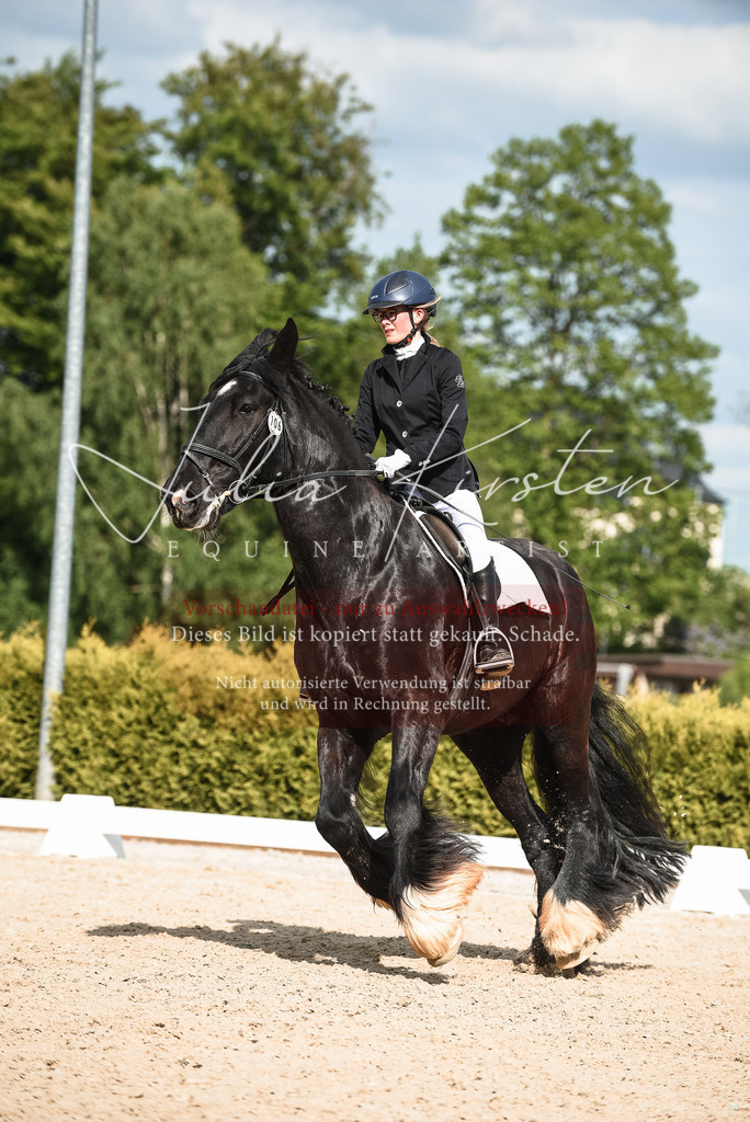 20230518_JK-Röhrsdorf-12-0454 | Pferde- und Turnierfotografie in Westsachsen. Pferdeportraits, Auftragszeichnungen und intuitive Kunst.