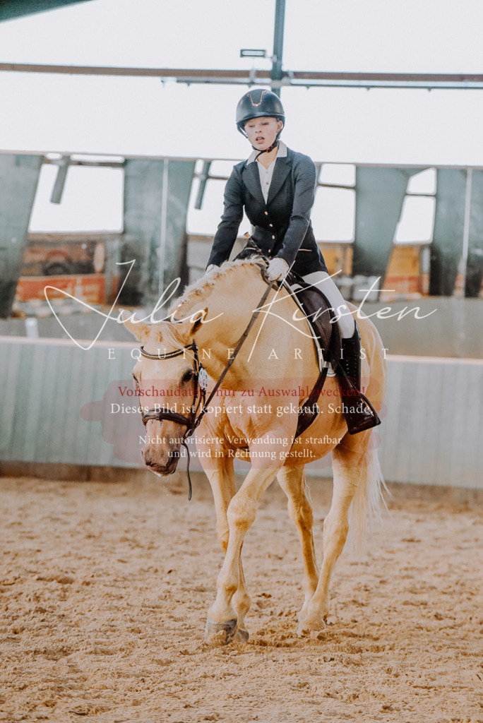 DSC_7678 | Pferde- und Turnierfotografie in Westsachsen. Pferdeportraits, Auftragszeichnungen und intuitive Kunst.