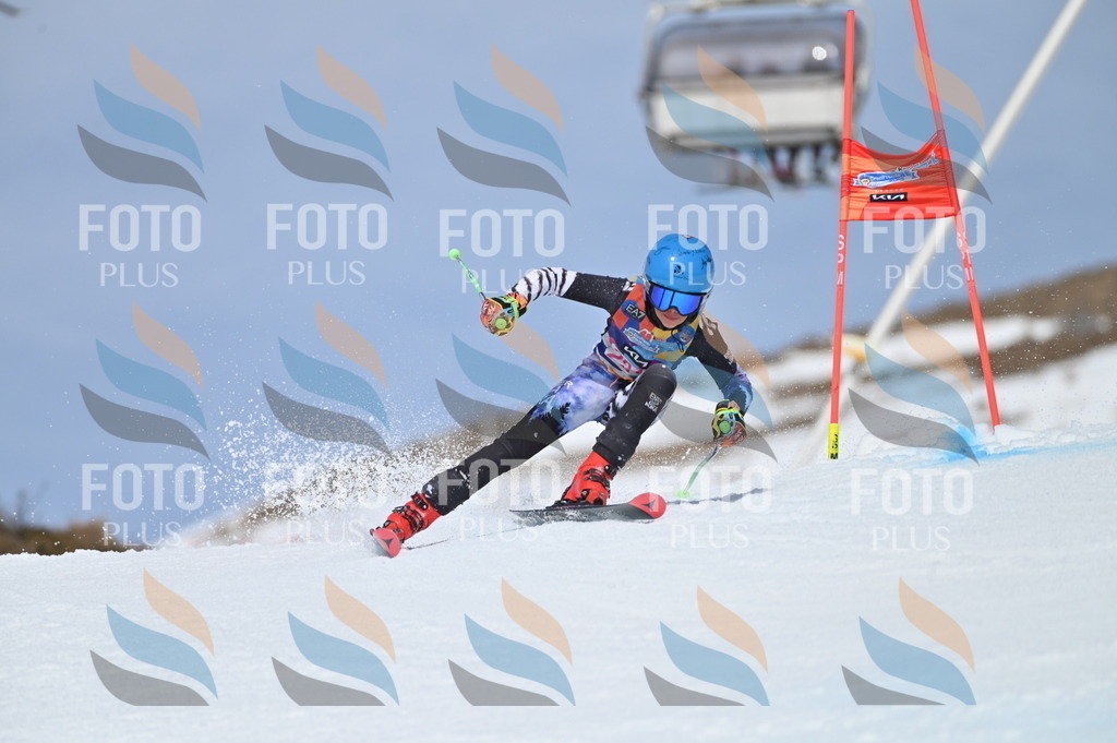 BGV_1332 | holidayphoto