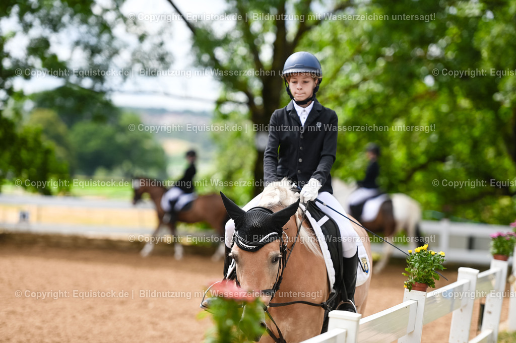 20230716_10-2_Reiter-WB Schritt - Trab - Galopp_0026 | equistock
