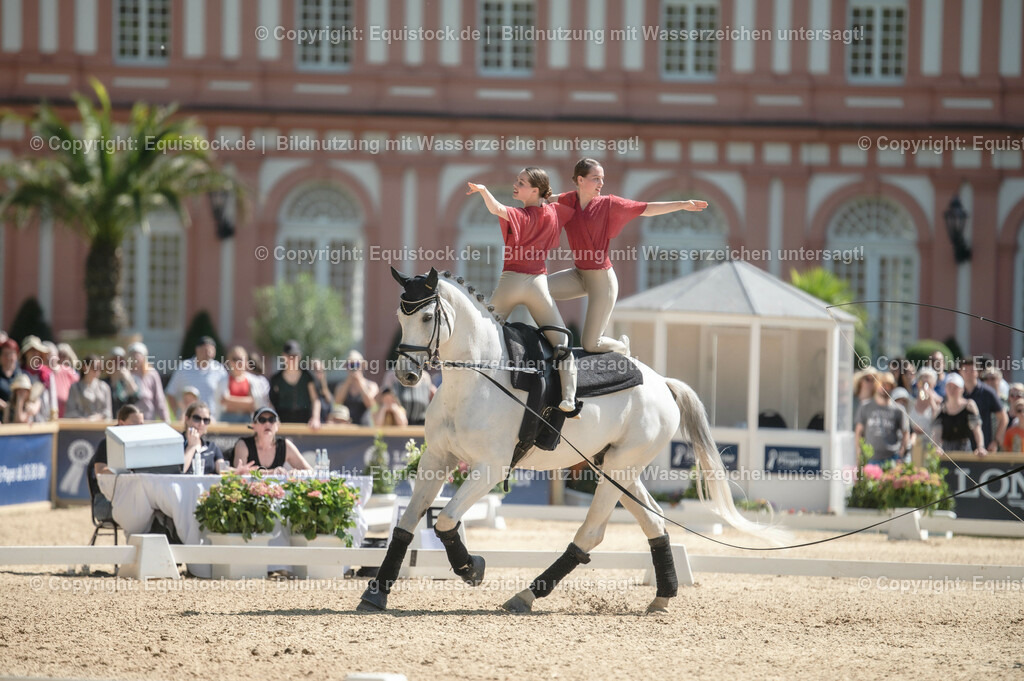 20230528_Voltigieren_NASPA_0322 | equistock