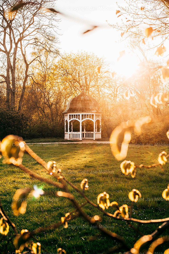 Johanna-Park | Der Johanna-Park in Leipzig verbindet Ruhe, Natur und Citynähe – ideal für Spaziergänge, Entspannung und Ausblicke auf die Stadtkulisse. - Realisiert mit Pictrs.com