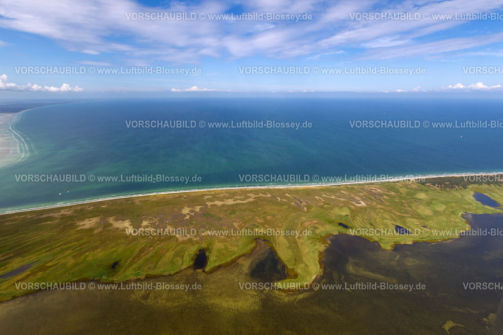 Hiddensee12081703 | Süden der Insel Hiddensee, Naturschutzgebiete Gellen und Gänsewerder, Naturschutzgebiet Dünenheide, Heidelandschaft,  Insel Hiddensee, Ostseeinsel, Mecklenburg-Vorpommern, Deutschland, Europa