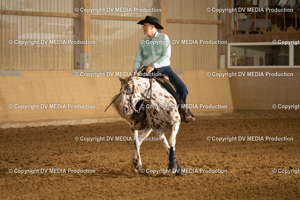 LAU00409 | dv-media-shop - Realisiert mit Pictrs.com