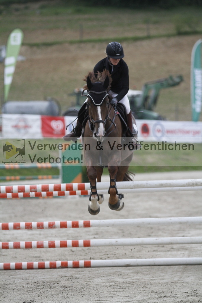 _MG_5687 | equestrian-live-com