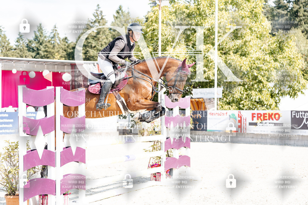 CK908656 | Turnierfotografie Pferdefotografie Trier Rheinland-Pfalz Pferdesport Reitsport Tierfotografie Sportfotografie Pferdevideo Pferdevideografie Equestrianvideography equestrianphotography  - Realisiert mit Pictrs.com