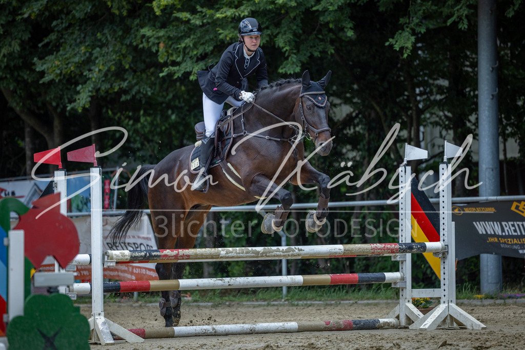 20260704-_3LI8818 | Tierfotografie Pferde, Hunde, Katzen, Haustiere.
Turnierfotografie Reitturniere, Reiten, Springreiten, Dressur in Hanau, dem Main-Kinzig-Kreis und dem Rhein-Main- Gebiet um Frankfurt