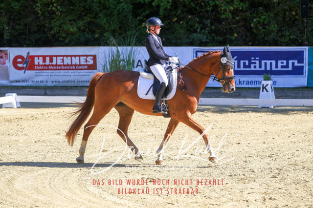 DKP41765 | Turniersportfotografie; Pferdefotografie; Dressurfotografie