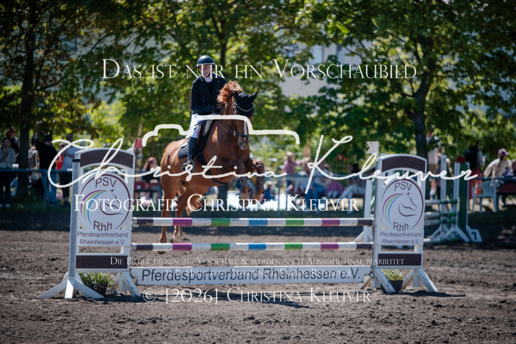 DSC_8927 | Christina-Kleuver