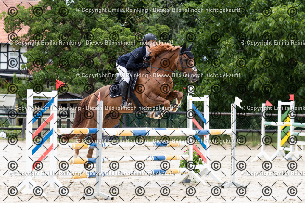 CL5A5361 | Emilia Reinking Fotografie - Realisiert mit Pictrs.com