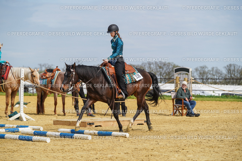 DSC04362 | Pferdegrafie